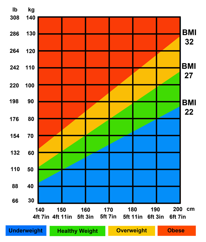 Mass Chart